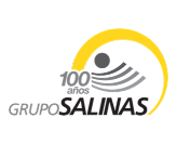 Grupo Salinas